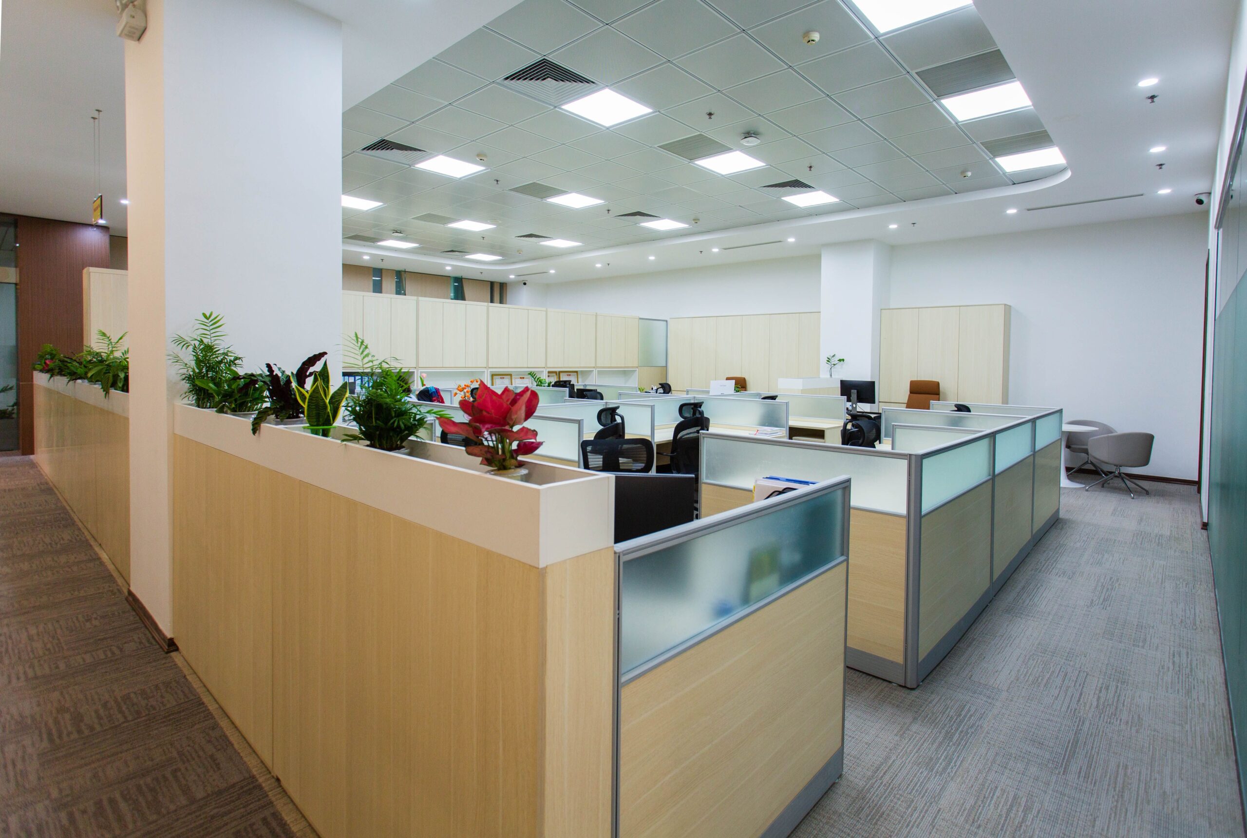 limpieza de oficinas